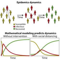 Mathematical Modeling in Epidemiology: It contributes something important