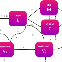 PATAT, mathematical modeling, cost-effectiveness, COVID-19 self-testing