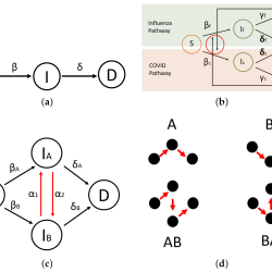 Compartmental models in epidemiology